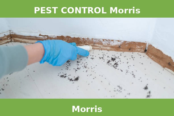 PEST CONTROL Morris